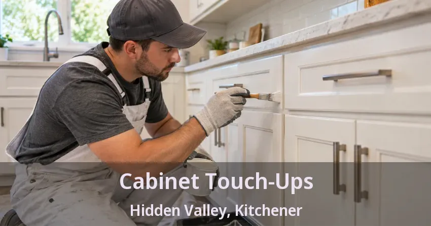 Cabinet Touch-Ups Hidden Valley, Kitchener - ON