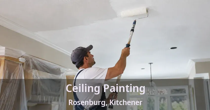 Ceiling Painting Rosenburg, Kitchener - ON