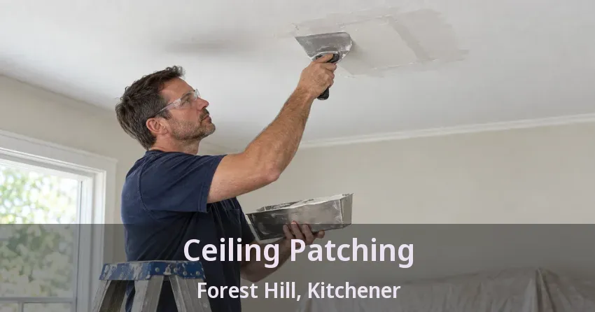 Ceiling Patching Forest Hill, Kitchener - ON