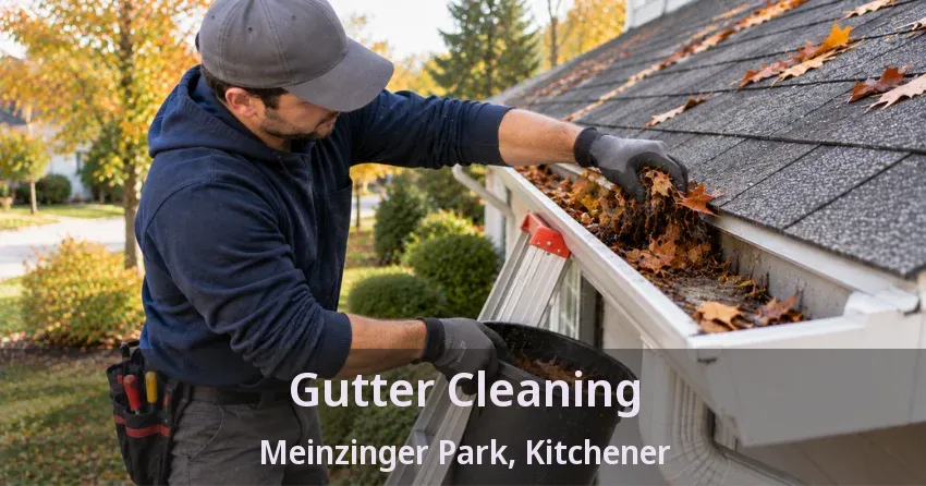 Gutter Cleaning Meinzinger Park, Kitchener - ON