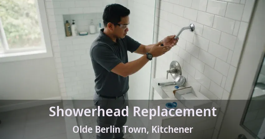 Showerhead Replacement Olde Berlin Town, Kitchener - ON