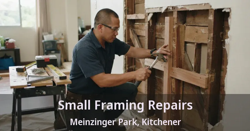 Small Framing Repairs Meinzinger Park, Kitchener - ON