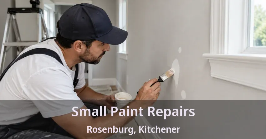 Small Paint Repairs Rosenburg, Kitchener - ON