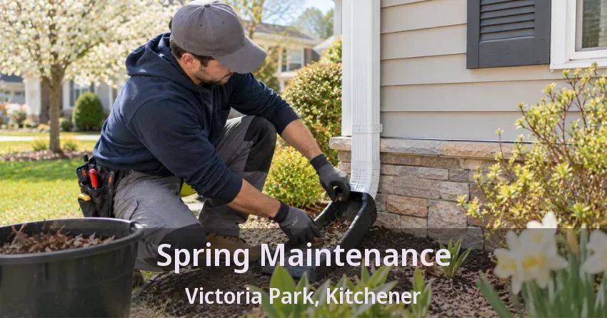 Spring Maintenance Victoria Park, Kitchener - ON