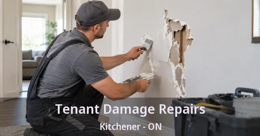 Tenant Damage Repairs Kitchener - ON