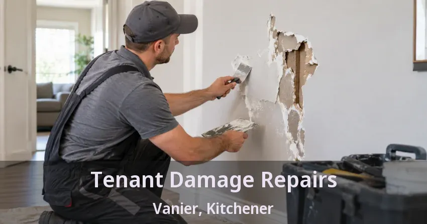 Tenant Damage Repairs Vanier, Kitchener - ON